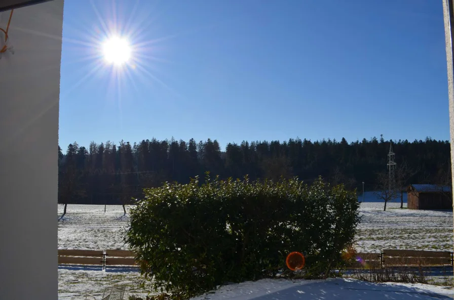 Ausblick von der Terrasse