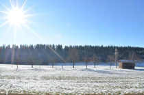 Ausblick/Umgebung