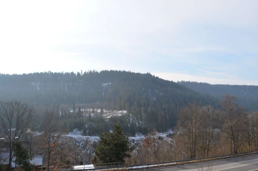 Ausblick von der Terrasse