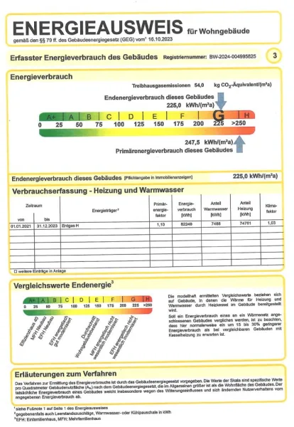 Auszug EA