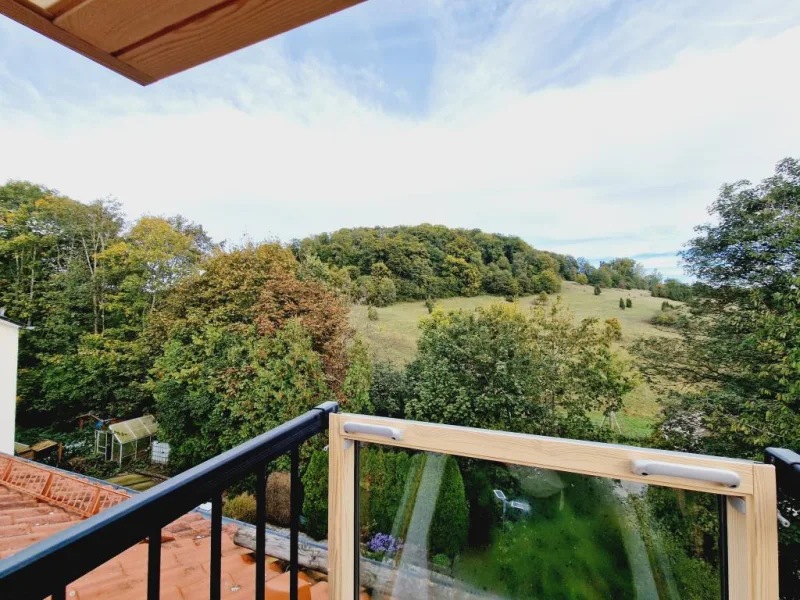 Cabrio Dachfenster (2) - Haus kaufen in Nattheim - Charmantes Reihenendhaus in Nattheim