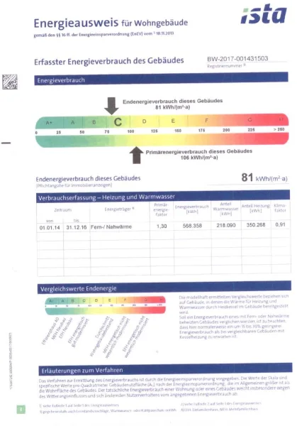 Auszug Energieausweis