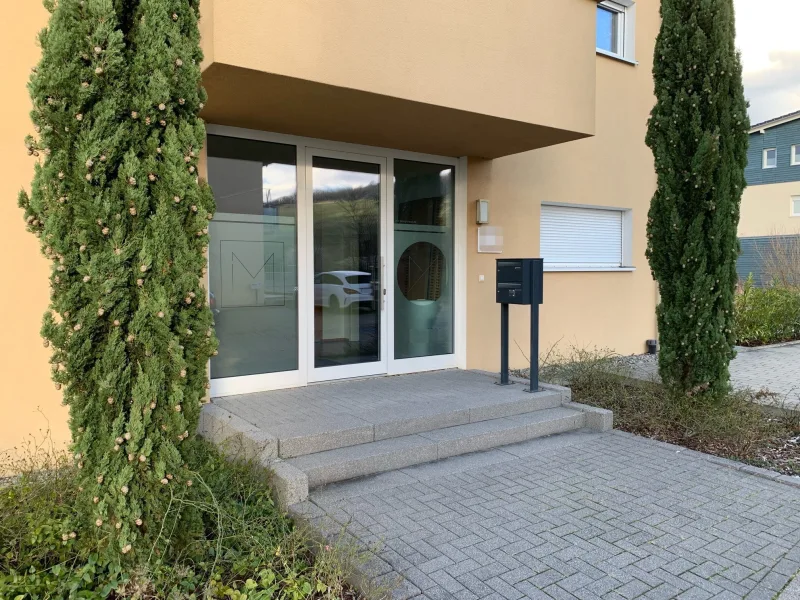 Eingangsbereich - Büro/Praxis kaufen in Freiburg - Optimales Arbeitsumfeld - Moderne Büro/Praxisräume