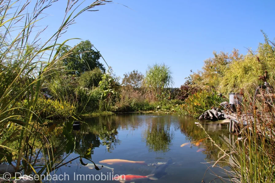 Koi Teich