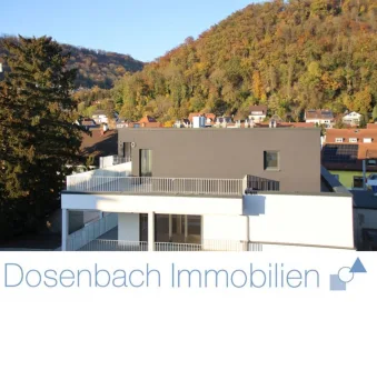  - Wohnung mieten in Grenzach-Wyhlen - Morgen schon einziehen! Exklusive Wohnung im Zentrum von Grenzach (Penthouse 0.9)