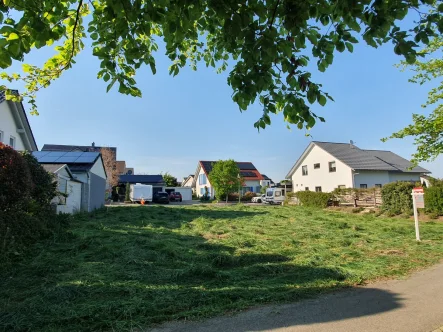 Ansicht Baugrundstück - Grundstück kaufen in Ofterdingen - Baugrundstück für EFH/ZFH/DHH in Ofterdingen Gebiet Banweg