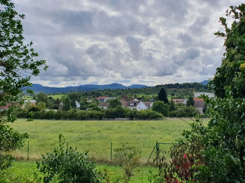 Aussicht Terrasse.