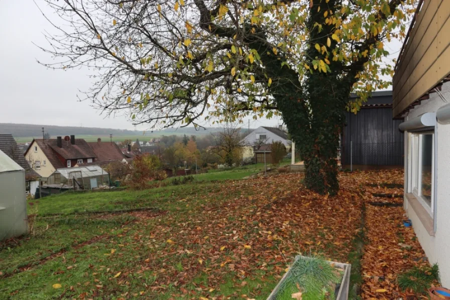 Blick in den Garten