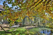 Garten und Teich