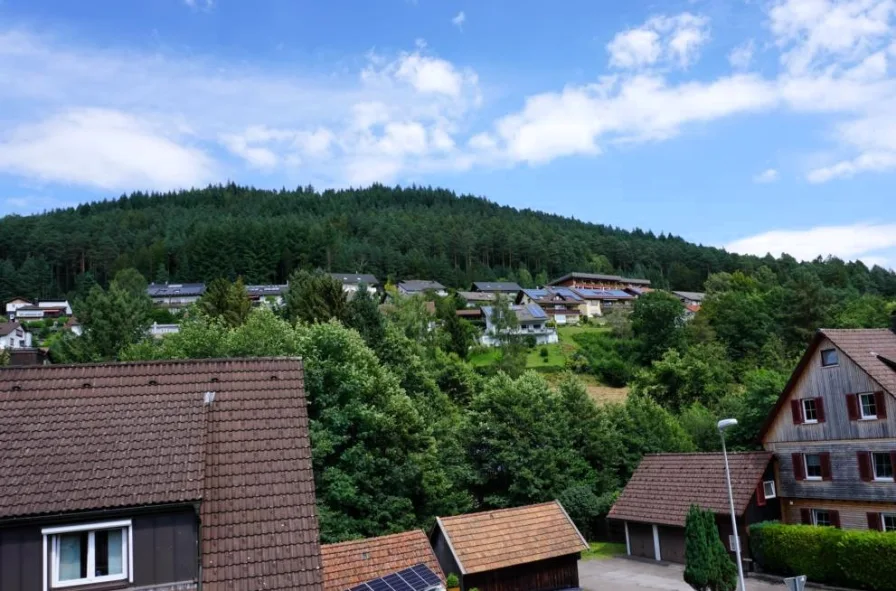 Ausblick vom Balkon