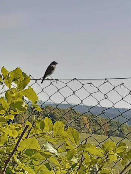 Ausblick genießen