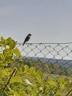 Ausblick genießen