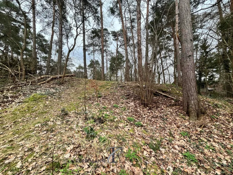 Baugrundstück - Grundstück kaufen in Schönwalde-Glien - Baugrundstück, nur wenige km hinter der Berliner Stadtgrenze: Natur pur und weite Landschaft.