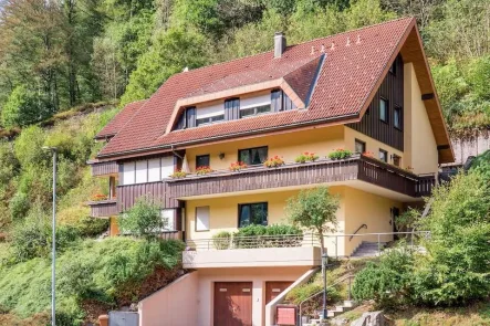Außenansicht - Haus kaufen in Bad Rippoldsau-Schapbach - Charmantes Mehrfamilienhaus mit umliegenden Grundstücken in Bad Rippoldsau