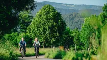 Begrünte Umgebung mit zahlreichen schönen Wegen