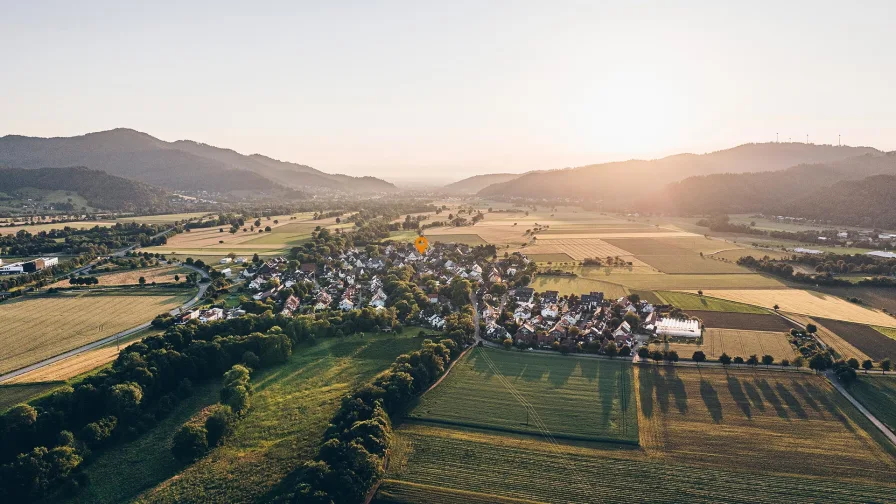 Blick über das Dreisamtal in Richtung Freiburg - Wohnung kaufen in Zarten - Gartenwohnung mit Süd-Ost-Terrasse im Dreisamtal