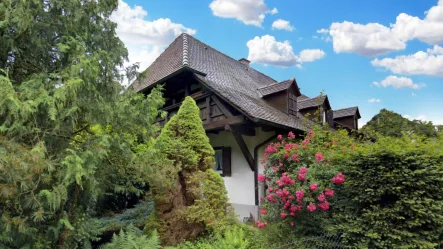 Ansicht - Haus kaufen in Freiburg - Bieterverfahren | Idyllisches Bauernhaus mit großem Grundstück in bester Lage von Günterstal
