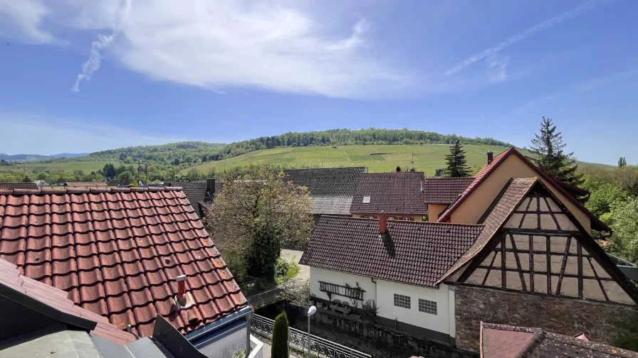 Verkehrsberuhigte Randlage des Freiburger Stadtteils St. Georgen