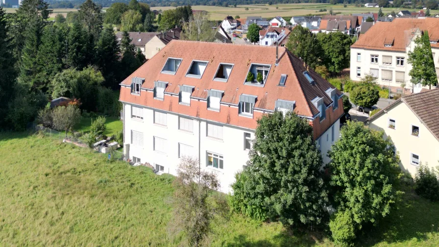 Ansicht auf die Rückseite mit Dachterrassen im Dachspitz