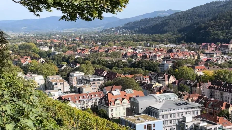 Ausblick vom Schlossberg in die Rheinebene