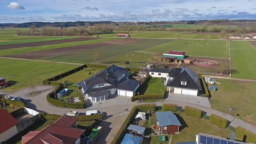 Gesamt - Ostansicht mit Weideland