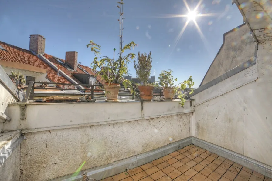 Dachterrasse 1