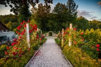 008 wedding arch