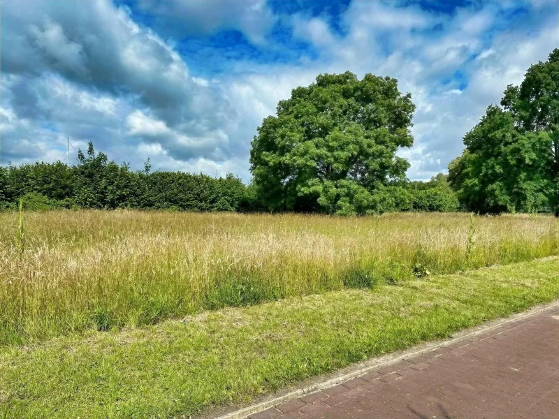 Ausblick Garten