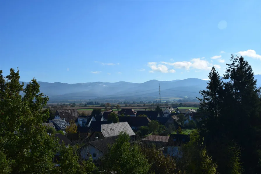 Aussicht - Wohnung kaufen in Bad Krozingen - Schöne 3-Zimmer Wohnung mit Blick auf den Schwarzwald in ruhiger Lage von Oberkrozingen