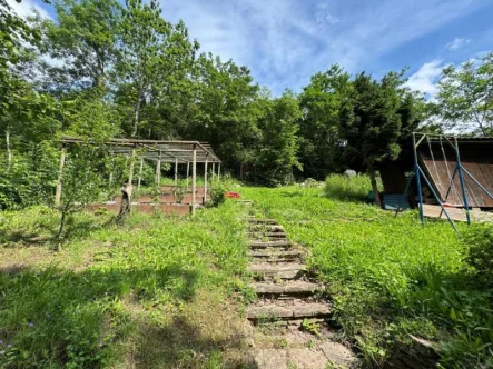 Stuttgart-Zuffenhausen - Grundstück kaufen in Stuttgart (Zuffenhausen) - Gartenliebhaber aufgepasst! Ideales Gartengrundstück in Stuttgart-Zuffenhausen!