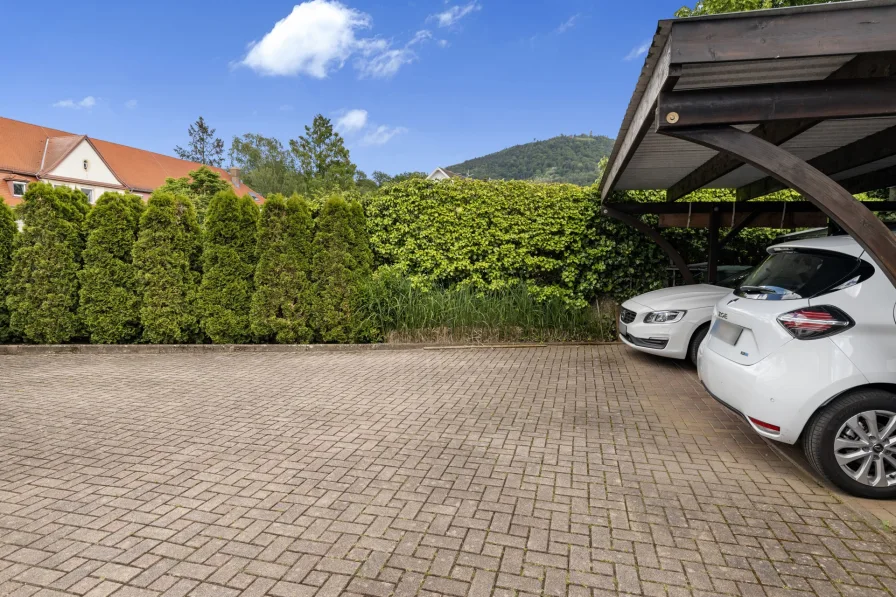 Carport & Ausblick Merkur