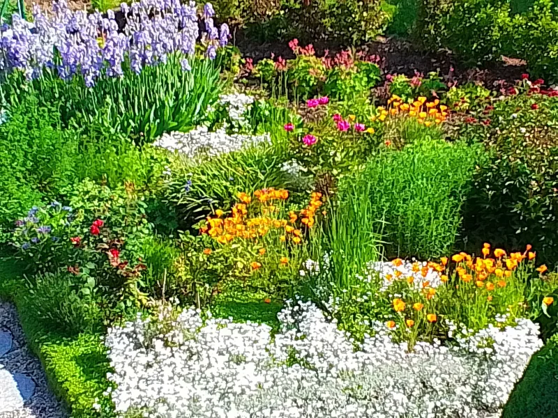 Impressionen aus dem Garten in der Blütenzeit 1