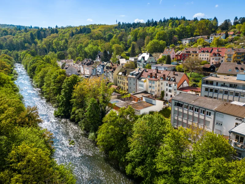 Umgebung - Rodgebiet mit Nagold