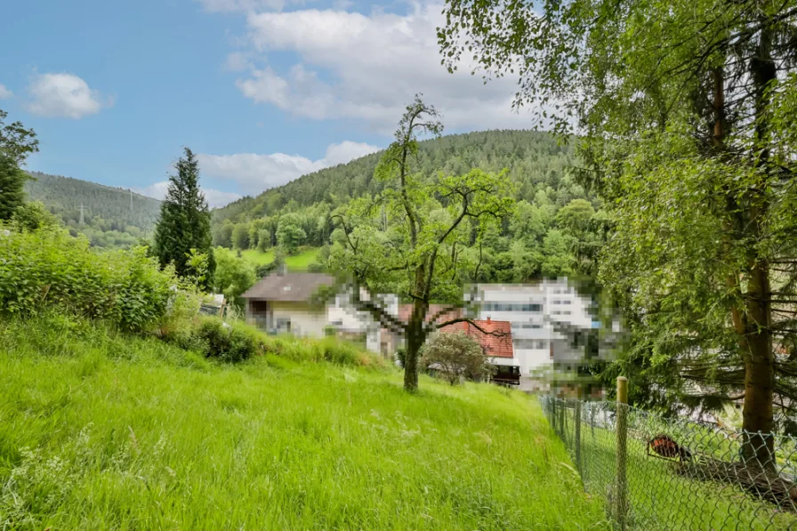 Garten / Hanggrundstück