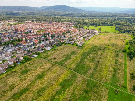 ansicht Neubaugebiet - Grundstück kaufen in Muggensturm - Doppelhaus oder Einfamilienhaus? Hier findet Ihr Wohntraum einen Platz.