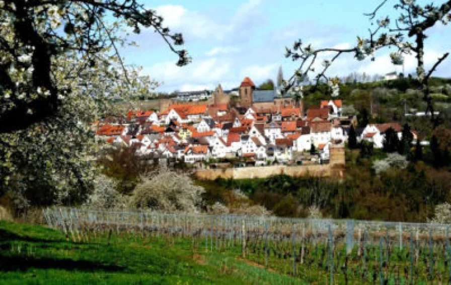 Blick-nach-Neuleiningen-400x253.jpg - Grundstück kaufen in Kleinkarlbach - Baugrundstück (532qm) in 67271 Kleinkarlbach (auf Wunsch: Baupläne für 3-Familienhaus bereits vorhanden und genehmigt)