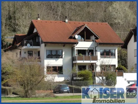 Blick auf das Wohnhaus mit 6 Parteien - Wohnung kaufen in Waldshut-Tiengen - Charmante Wohnung in stadtnaher Lage von Tiengen