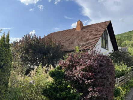 Bild1 - Haus kaufen in Müllheim - Wohntraum im Grünen mit Schwarzwald-Panorama