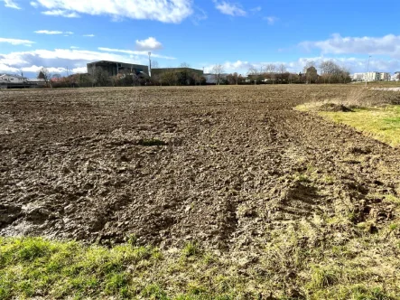 Bild1 - Grundstück kaufen in Bad Krozingen - Ihr Erfolg beginnt hier: Gewerbegrundstück in bester Lage