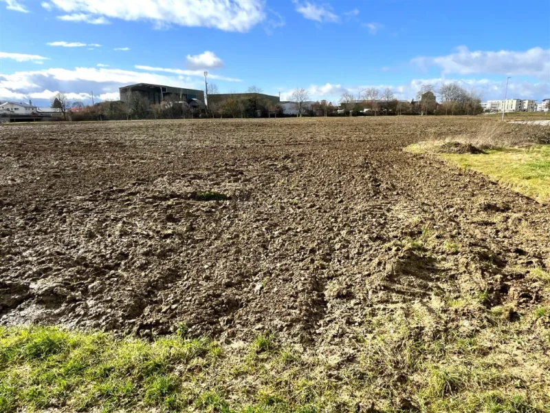 Bild1 - Grundstück kaufen in Bad Krozingen - Ihr Erfolg beginnt hier: Gewerbegrundstück in bester Lage