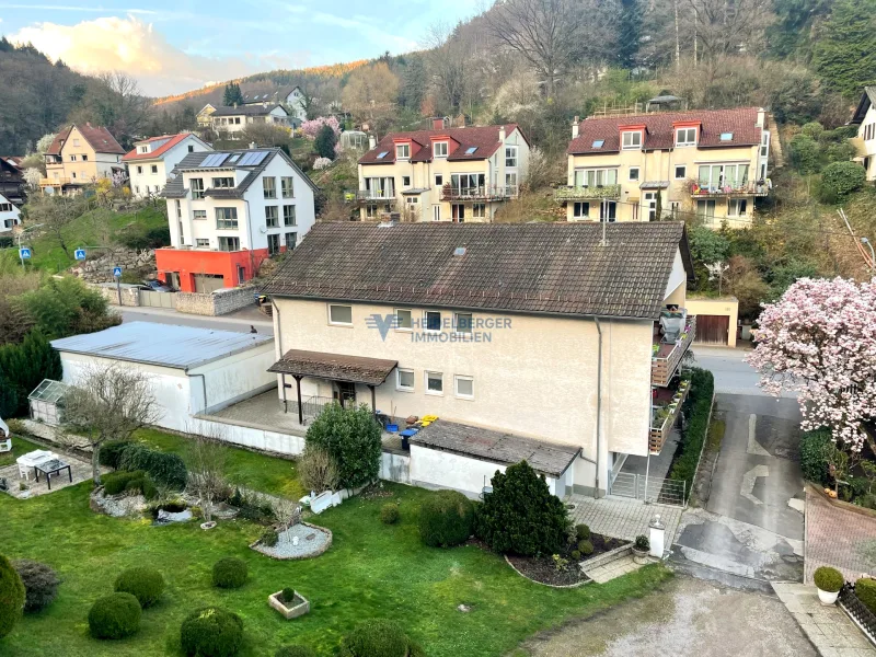 Blick von oben auf das Haus - Haus kaufen in Heidelberg - Heidelberg-Ziegelhausen:Solide Kapitalanlage!