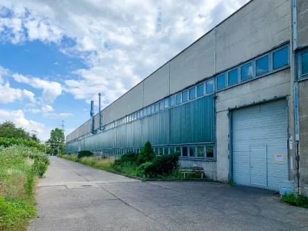 Objektansicht - Halle/Lager/Produktion mieten in Dresden - Ihre Produktion - 10 Minuten von der A17! BEATE PROTZE IMMOBILIEN