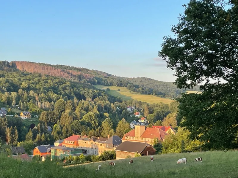 Zum Verlieben, nicht wahr - Haus kaufen in Sebnitz - Wohnlage zum Verlieben!