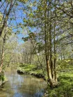 Ihr Garten an der Wesenitz