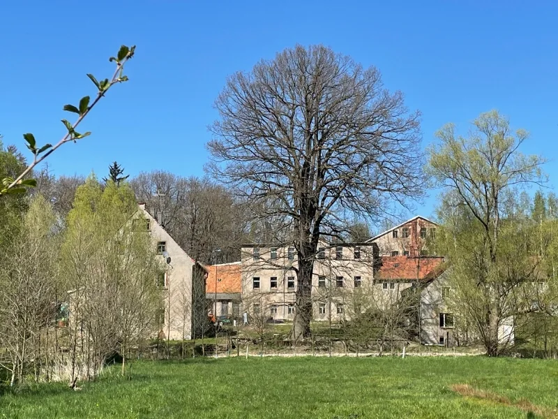 Ansicht von Süd im Frühling