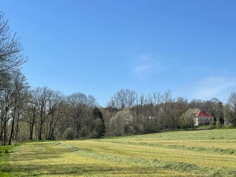 Ansicht von Südwest im Frühling