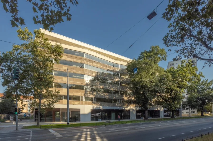 Objektansicht - Laden/Einzelhandel mieten in Dresden - Neubau - Bestlage - zum Handeln geschaffen! BEATE PROTZE IMMOBILIEN