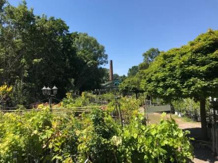 Herzlich Willkommen! - Laden/Einzelhandel kaufen in Bischofswerda - Gartenfachmarkt auf 17.000 m² - Garten hat Zukunft!