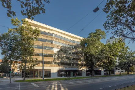 Objektansicht - Büro/Praxis mieten in Dresden - Neubau in Bestlage!