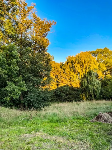 Herzlich Willkommen! - Grundstück kaufen in Arnsdorf - Naturnahes Leben ist gut für das Wohlbefinden!